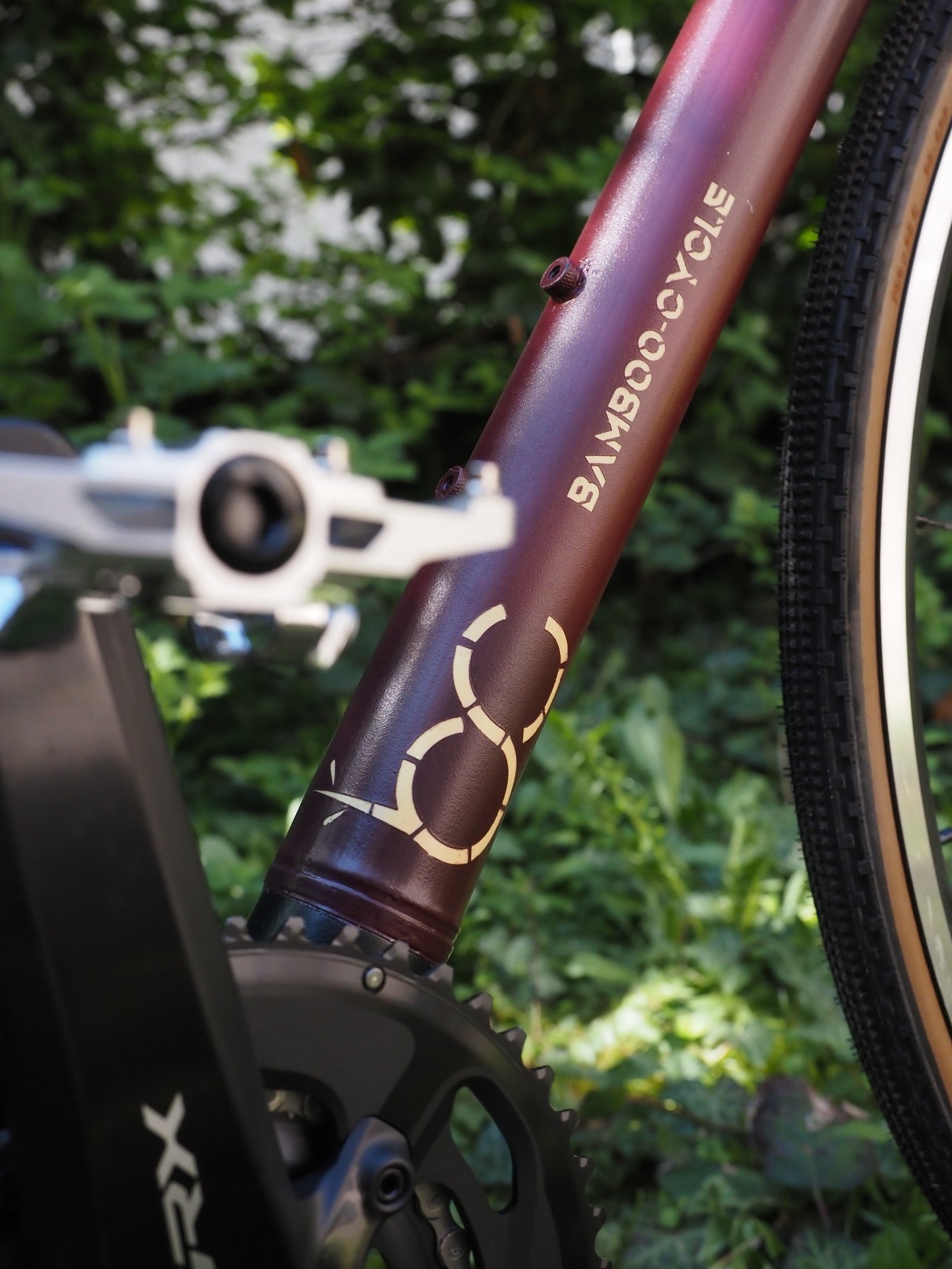 Bamboo Cycle -- branding on maroon frame tube